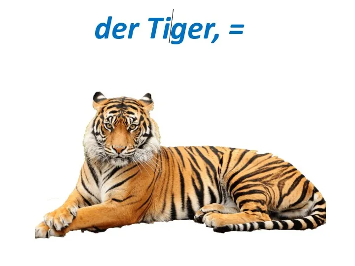 der Tiger, =