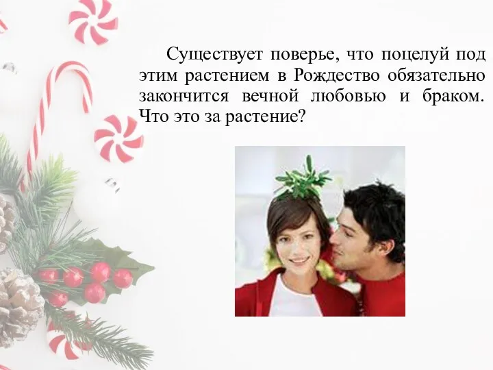 Существует поверье, что поцелуй под этим растением в Рождество обязательно