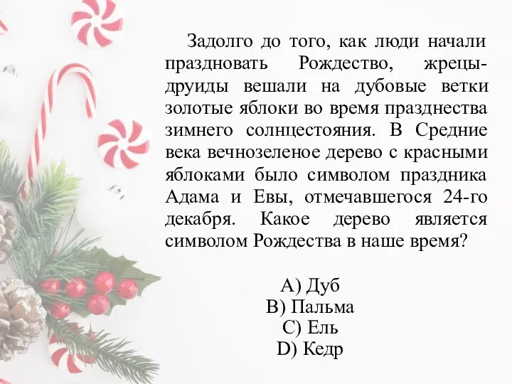 Задолго до того, как люди начали праздновать Рождество, жрецы-друиды вешали