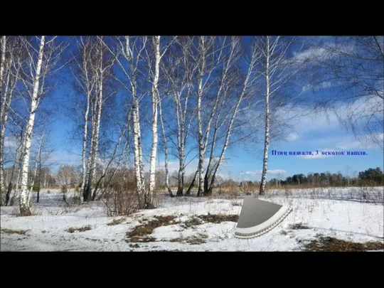 Птиц назвали, 3 осколок нашли.