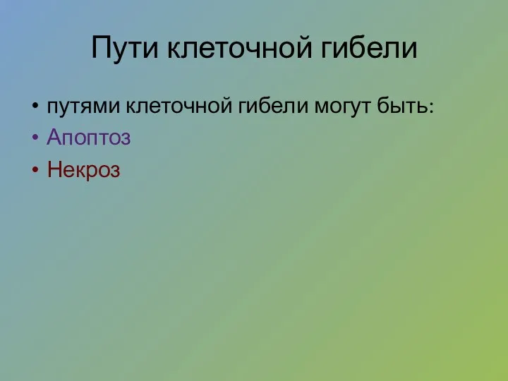 Пути клеточной гибели путями клеточной гибели могут быть: Апоптоз Некроз