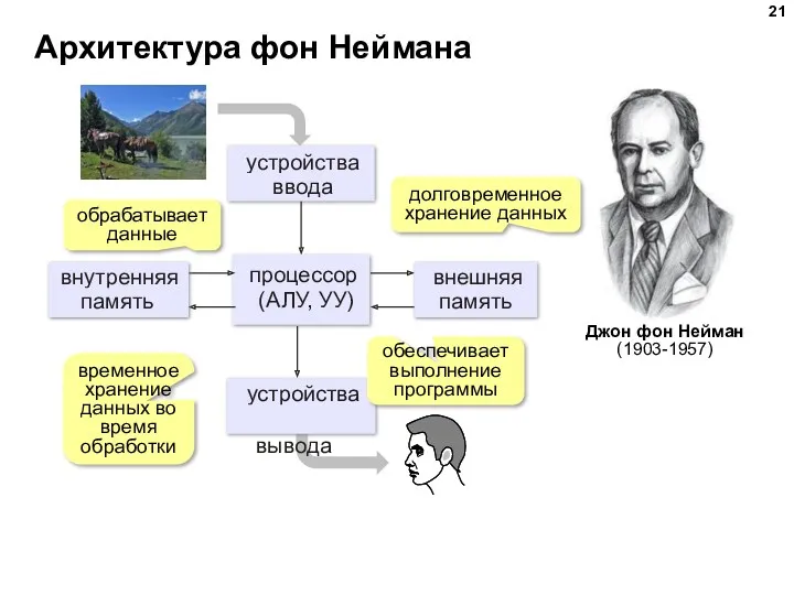 Архитектура фон Неймана обрабатывает данные обеспечивает выполнение программы временное хранение