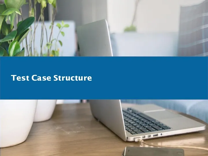 Test Case Structure