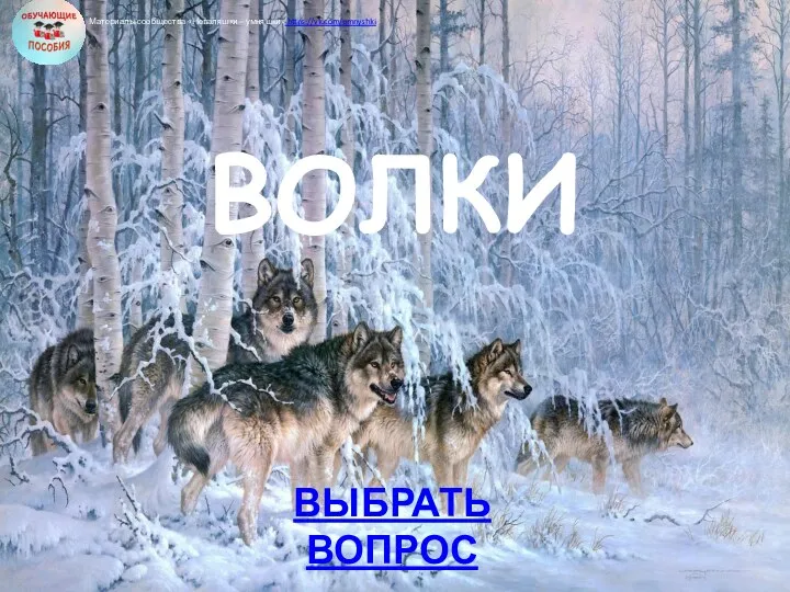 ВЫБРАТЬ ВОПРОС ВОЛКИ Материалы сообщества «Неваляшки – умняшки» https://vk.com/umnyshki