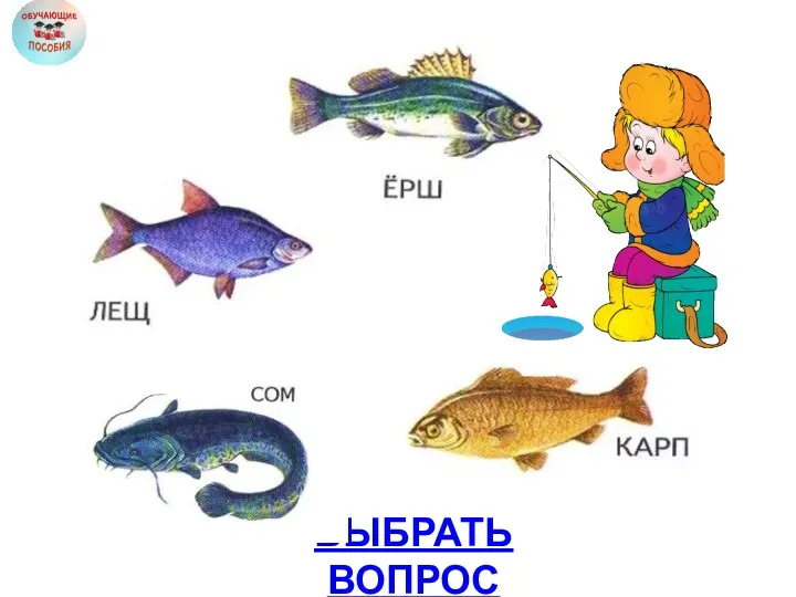 ВЫБРАТЬ ВОПРОС