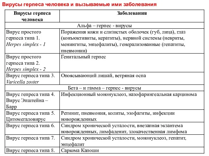 Вирусы герпеса человека и вызываемые ими заболевания