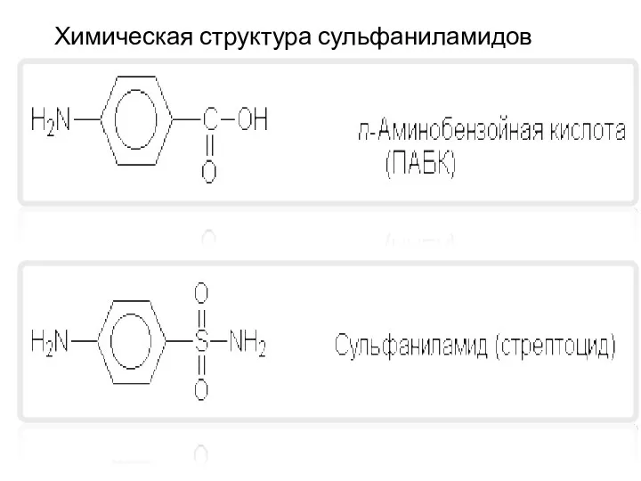 Химическая структура сульфаниламидов