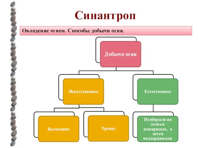 Синантроп Овладение огнем. Способы добычи огня.