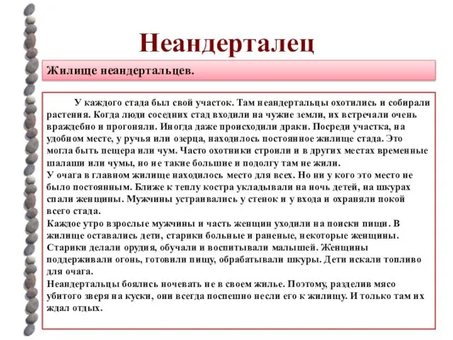 Неандерталец Жилище неандертальцев. У каждого стада был свой участок. Там