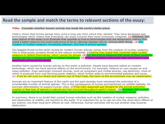 Read the sample and match the terms to relevant sections of the essay: