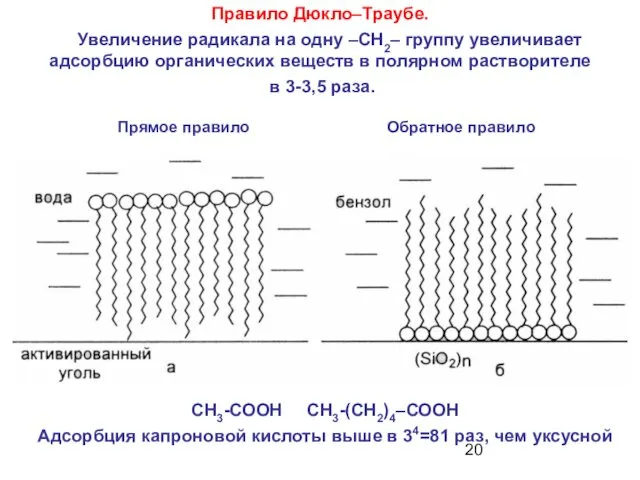 Правило Дюкло–Траубе. Увеличение радикала на одну –СН2– группу увеличивает адсорбцию органических веществ в