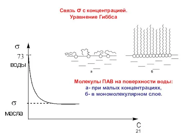 Связь σ с концентрацией. Уравнение Гиббса Молекулы ПАВ на поверхности воды: а- при