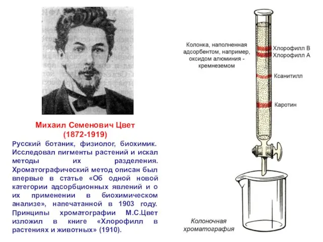 Михаил Семенович Цвет (1872-1919) Русский ботаник, физиолог, биохимик. Исследовал пигменты растений и искал