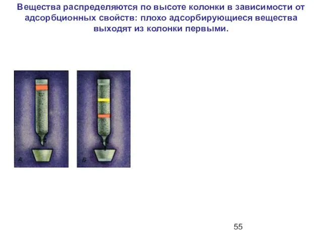 Вещества распределяются по высоте колонки в зависимости от адсорбционных свойств: плохо адсорбирующиеся вещества