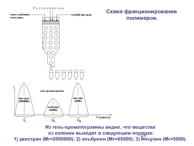 Из гель-хроматограммы видно, что вещества из колонки выходят в следующем порядке: 1) декстран