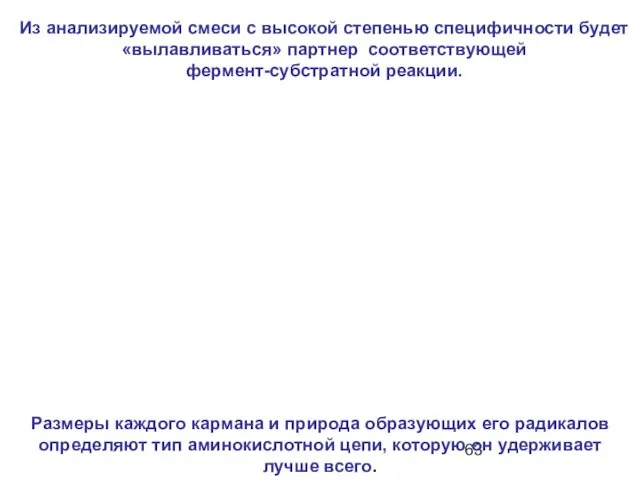 Из анализируемой смеси с высокой степенью специфичности будет «вылавливаться» партнер соответствующей фермент-субстратной реакции.