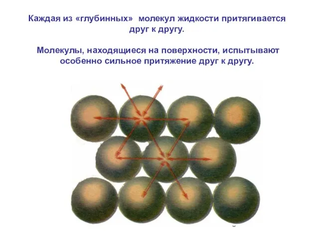 Каждая из «глубинных» молекул жидкости притягивается друг к другу. Молекулы, находящиеся на поверхности,