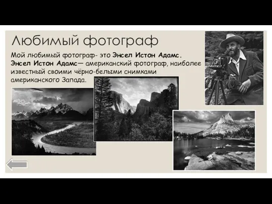 Любимый фотограф Мой любимый фотограф- это Энсел Истон Адамс. Энсел