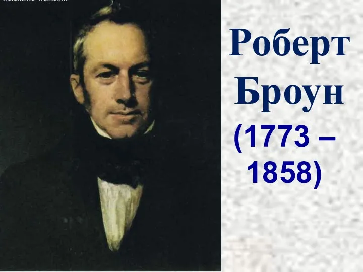 Роберт Броун (1773 – 1858)