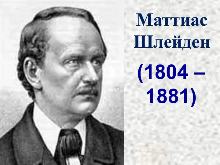 Маттиас Шлейден (1804 – 1881)