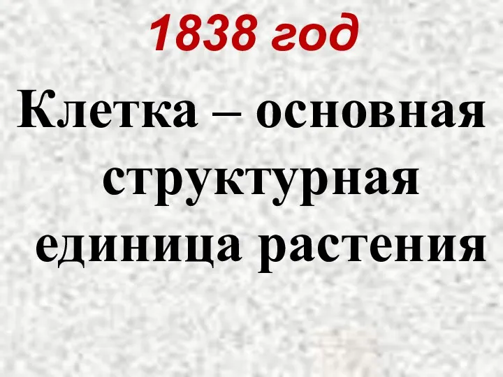 1838 год Клетка – основная структурная единица растения