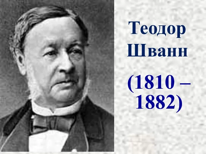 Теодор Шванн (1810 – 1882)