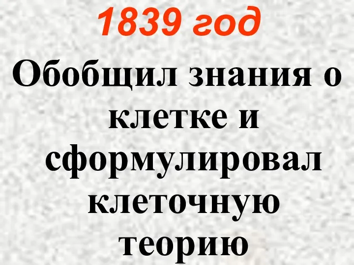 1839 год Обобщил знания о клетке и сформулировал клеточную теорию