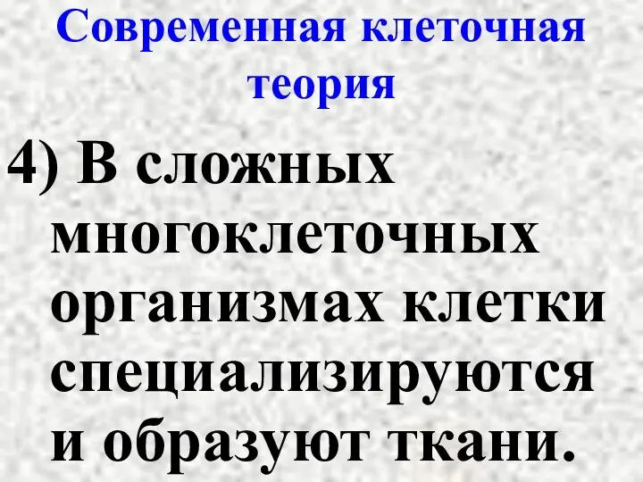 Современная клеточная теория 4) В сложных многоклеточных организмах клетки специализируются и образуют ткани.