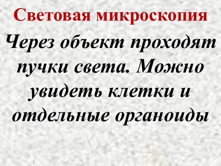 Световая микроскопия Через объект проходят пучки света. Можно увидеть клетки и отдельные органоиды