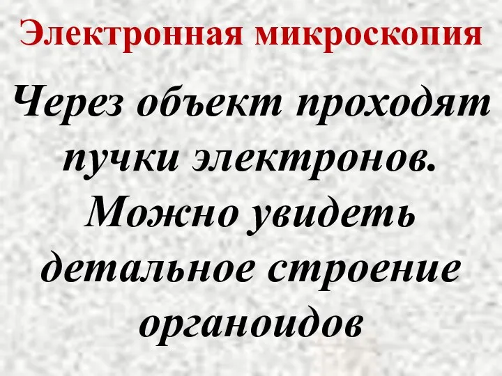 Электронная микроскопия Через объект проходят пучки электронов. Можно увидеть детальное строение органоидов