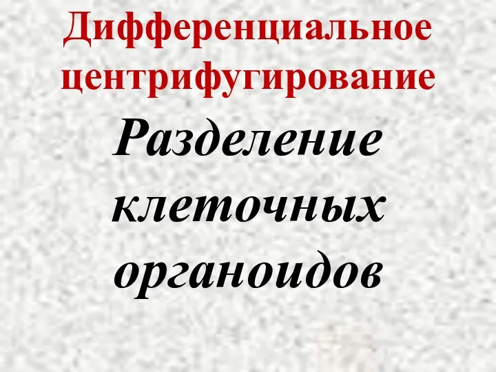 Дифференциальное центрифугирование Разделение клеточных органоидов