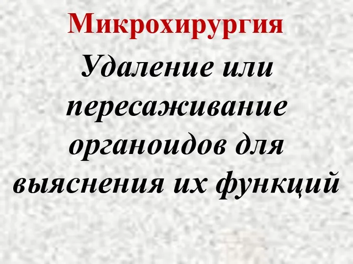 Микрохирургия Удаление или пересаживание органоидов для выяснения их функций