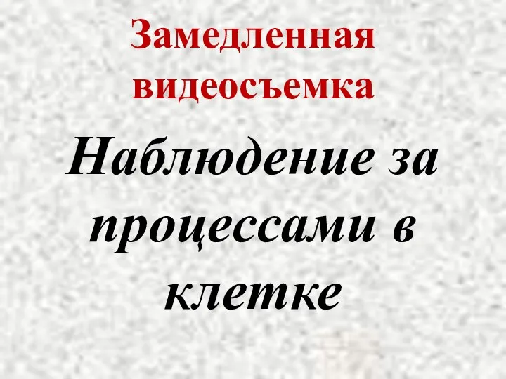 Замедленная видеосъемка Наблюдение за процессами в клетке