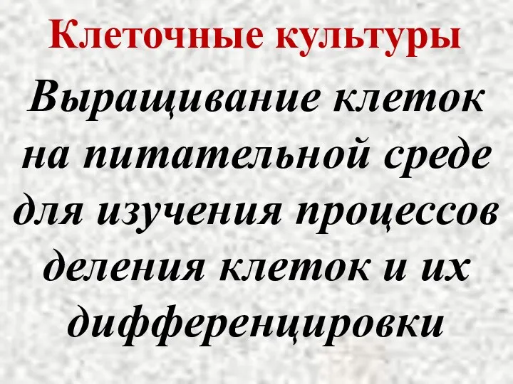 Клеточные культуры Выращивание клеток на питательной среде для изучения процессов деления клеток и их дифференцировки