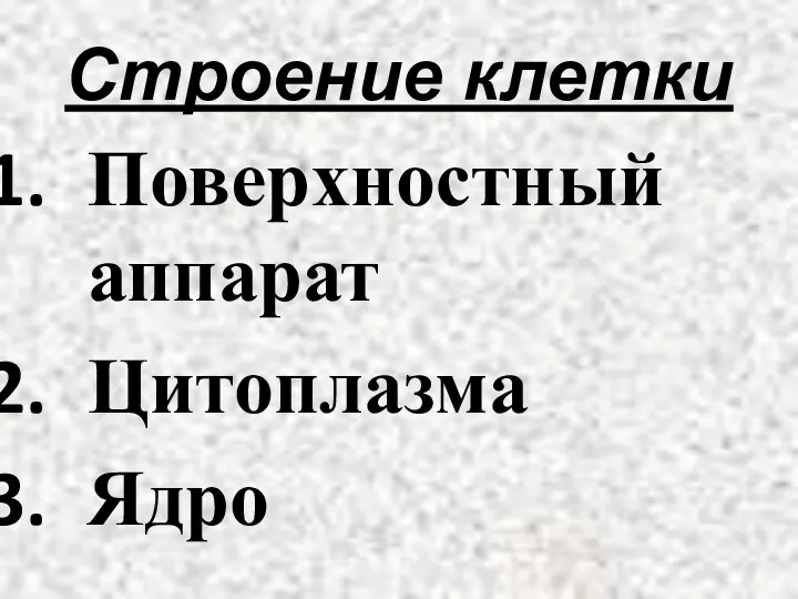 Строение клетки Поверхностный аппарат Цитоплазма Ядро