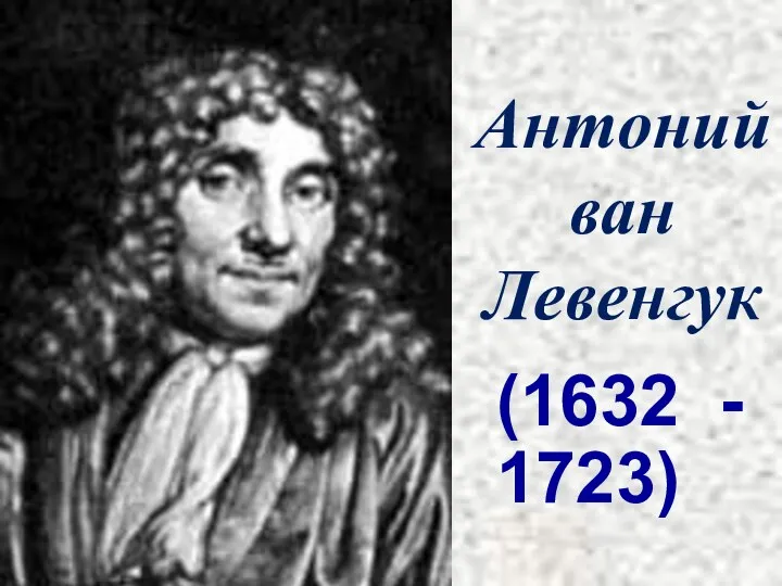 Антоний ван Левенгук (1632 - 1723)