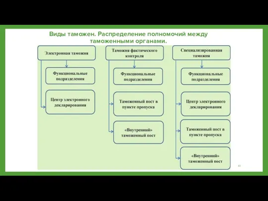 Виды таможен. Распределение полномочий между таможенными органами.