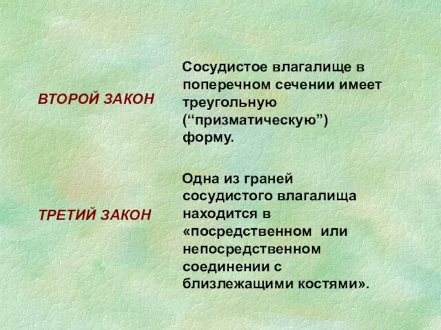 ВТОРОЙ ЗАКОН ТРЕТИЙ ЗАКОН Сосудистое влагалище в поперечном сечении имеет