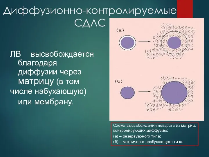 Диффузионно-контролируемые СДЛС ЛВ высвобождается благодаря диффузии через матрицу (в том