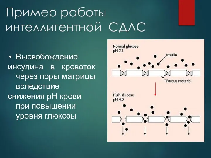 Пример работы интеллигентной СДЛС Высвобождение инсулина в кровоток через поры