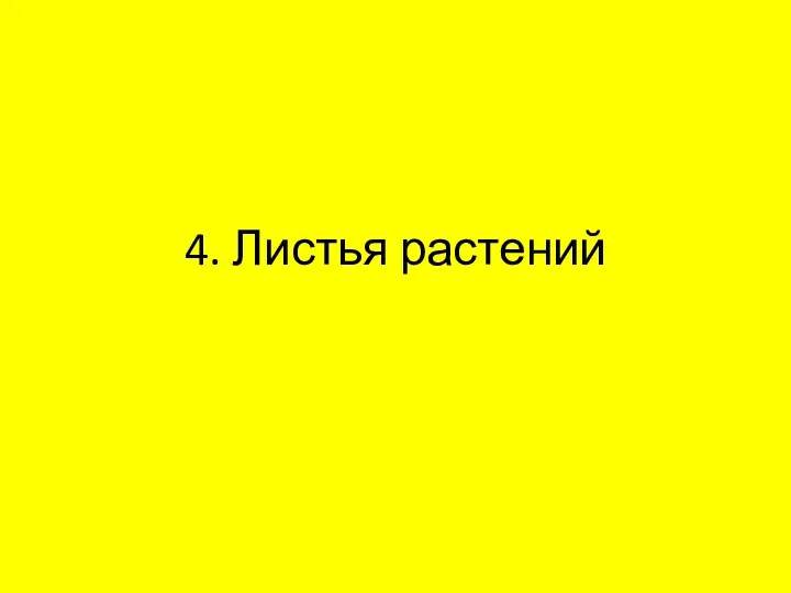 4. Листья растений