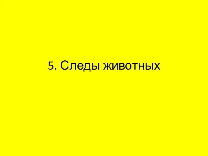 5. Следы животных