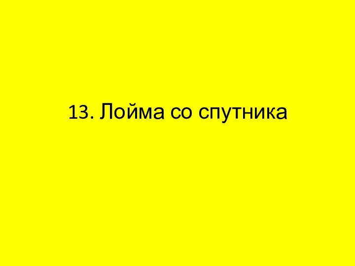 13. Лойма со спутника