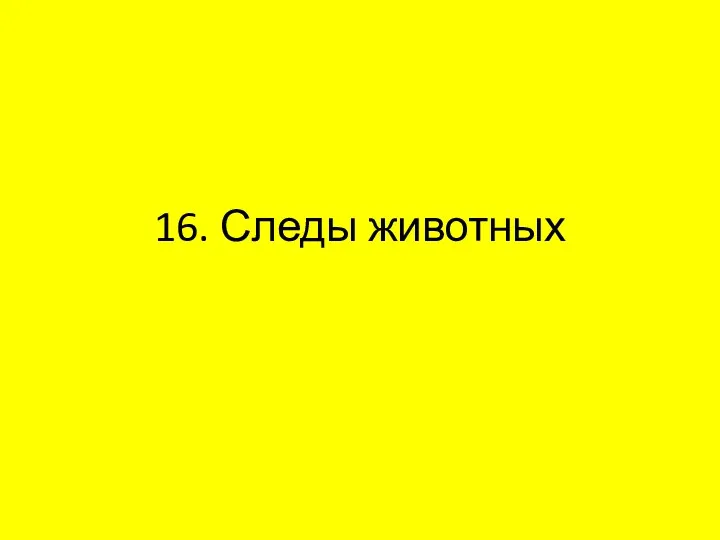 16. Следы животных