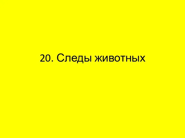 20. Следы животных