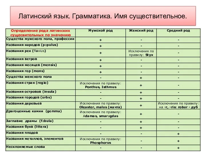 Латинский язык. Грамматика. Имя существительное.