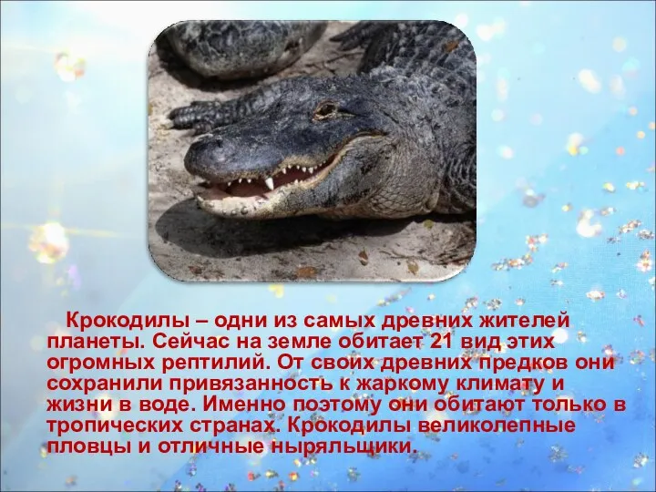 Крокодилы – одни из самых древних жителей планеты. Сейчас на