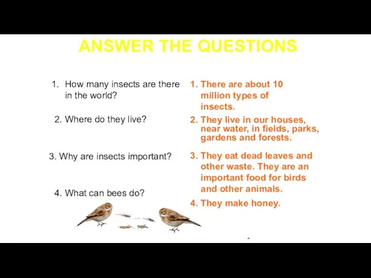 . ANSWER THE QUESTIONS How many insects are there in