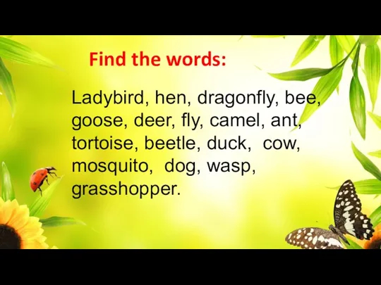 Find the words: Ladybird, hen, dragonfly, bee, goose, deer, fly,