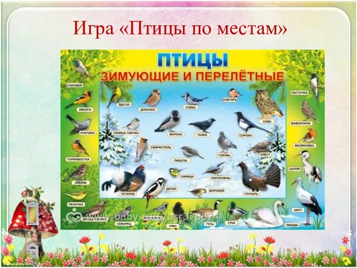 Игра «Птицы по местам»